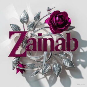 Name Zainab dp