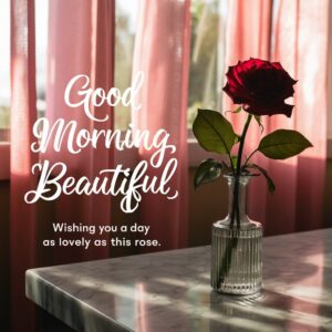 Romantic Good Morning image with a single red rose in a vase, sunlight enhancing its beauty."