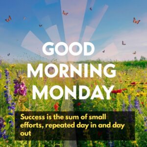 Beautiful Inspiration quotes for Monday morning HD