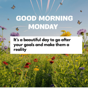 Monday Morning Quotes HD wallpaper 