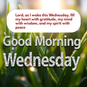 Lord, as I wake this Wednesday, fill my heart with gratitude, my mind with wisdom, and my spirit with peace