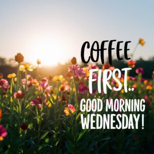 A sunny field of daisies with a humorous "Coffee First" caption shining brightly next to "Good Morning Wednesday