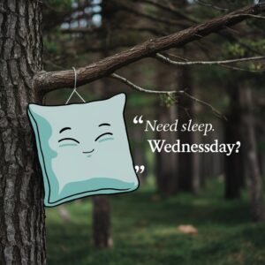 A magical sunrise over trees, with "Need Sleep" humorously written next to "Good Morning Wednesday