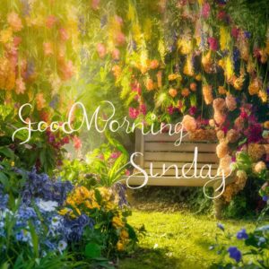 A peaceful garden bench surrounded by flowers with 'Good Morning Sunday' on a wooden sign."